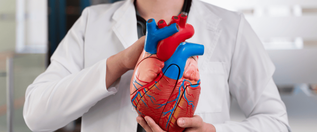 stent et rim