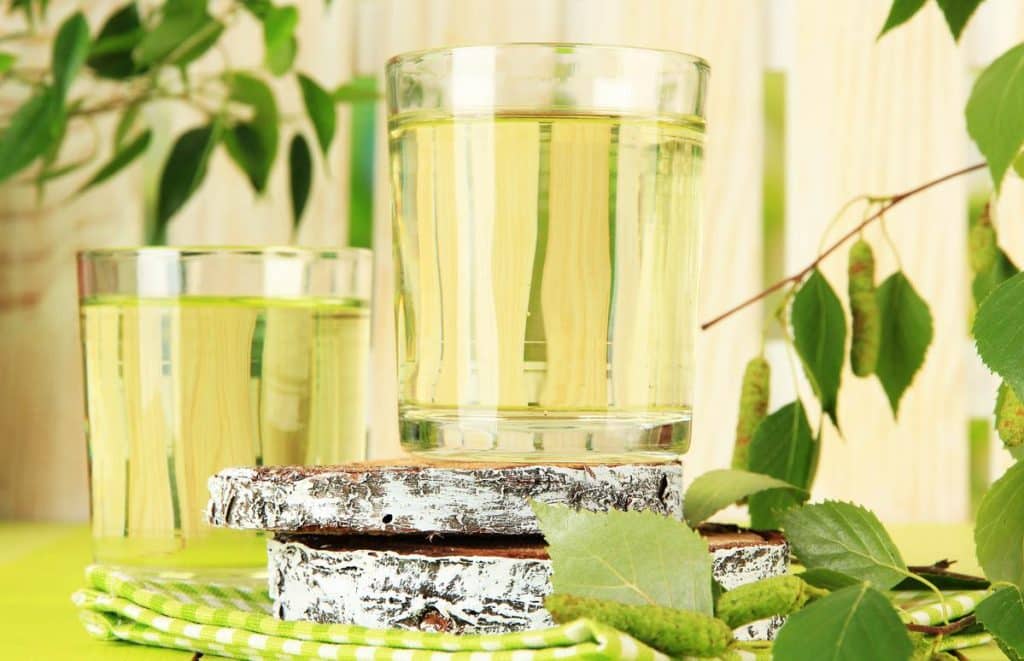 cure de sève de bouleau bienfaits​