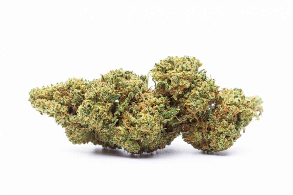 CBD bio