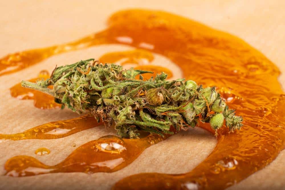 produits CBD bio Provence